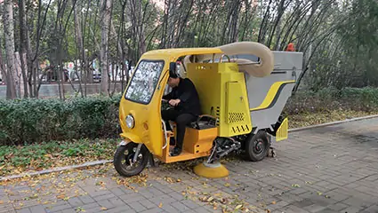 Small leaf collection tricycle
