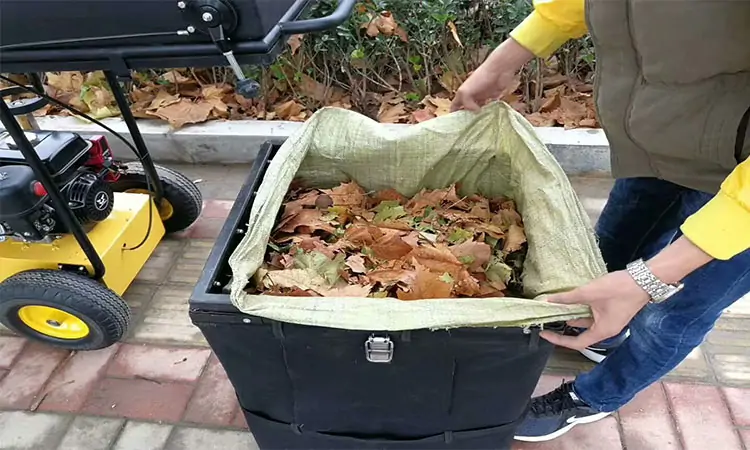 storage of leaves