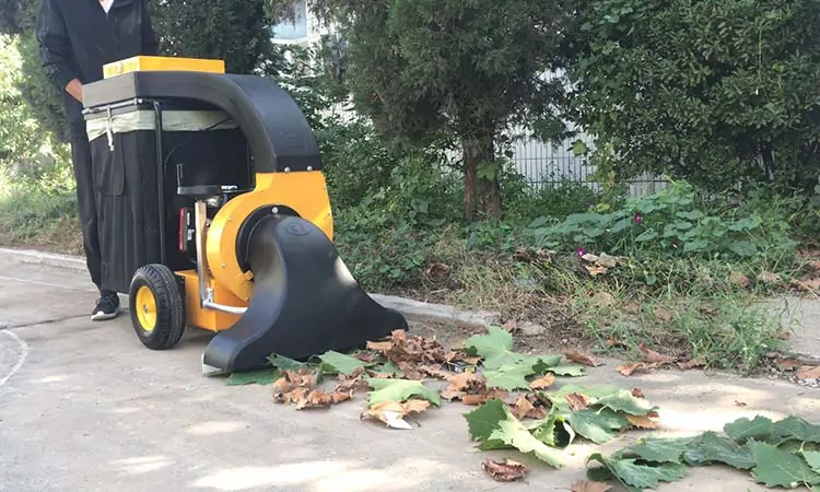 self-propelled leaf collector