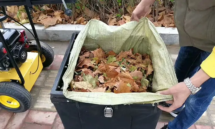 Best Self Propelled Leaf Vacuum